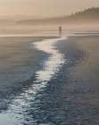 Silhouette of people walking on beach in mist. Kalaloch Beach, Olympic Peninsula, Washington State. Art Print